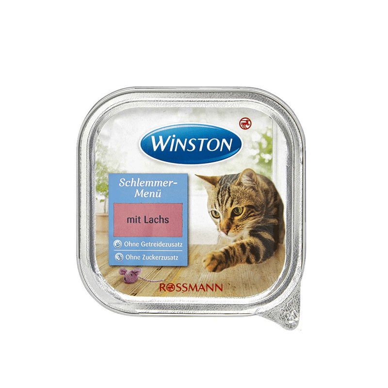 ووم گربه وینستون طعم ماهی سالمون