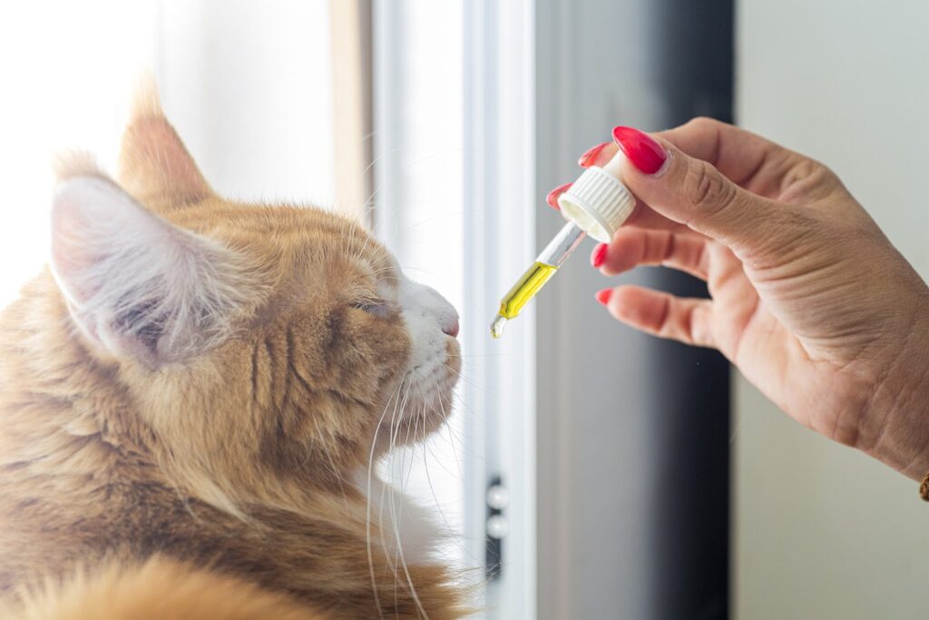 قطره مولتی ویتامین گربه