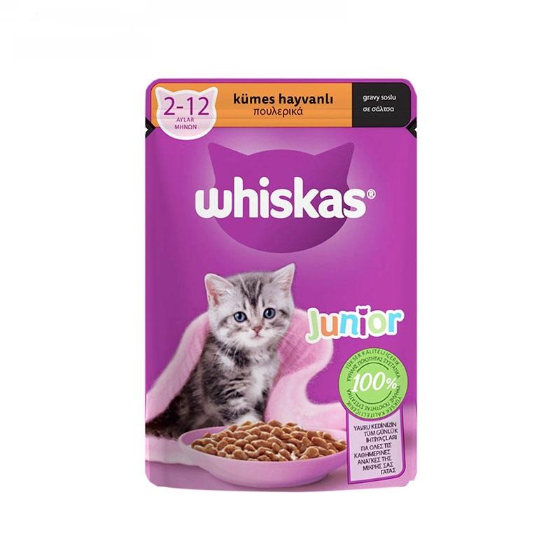 غذای-پوچ-بچه-گربه-با-طعم-گوشت-طیور-ویسکاس-Whiskas-Poultry-Junior-Cat-Pouch-وزن-85-گرم