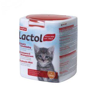 شیر-خشک-گربه-لاکتول-بیفار-Beaphar-Lactol-Cat-milk-وزن-500-گرم
